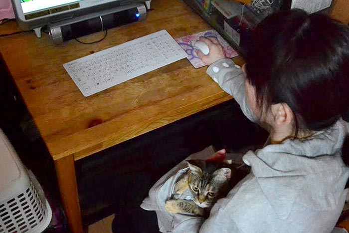 Толстовка с карманом для кошки, Mewgaroo, Unihabitat