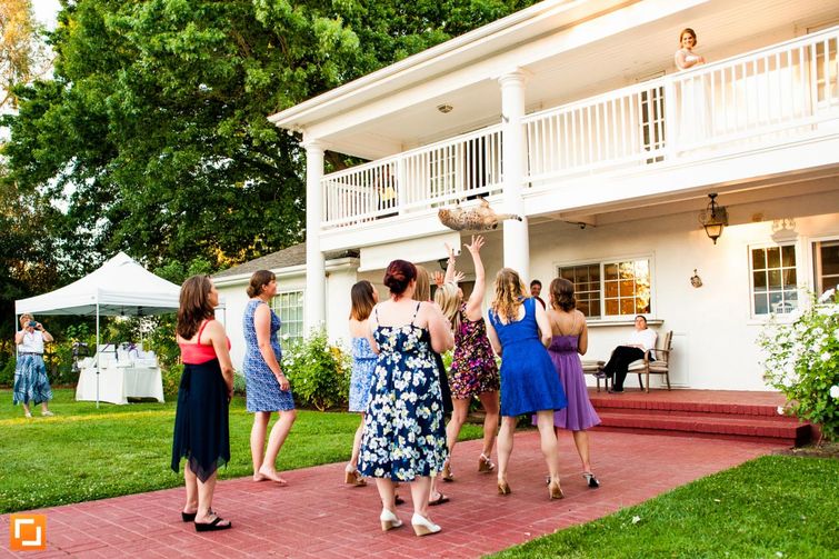 бросай кота, невесты бросают котов, Brides Throwing Cats