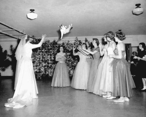 бросай кота, невесты бросают котов, Brides Throwing Cats