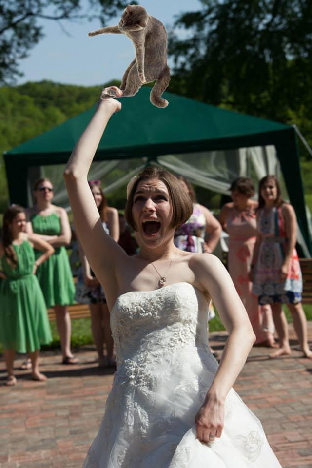 бросай кота, невесты бросают котов, Brides Throwing Cats