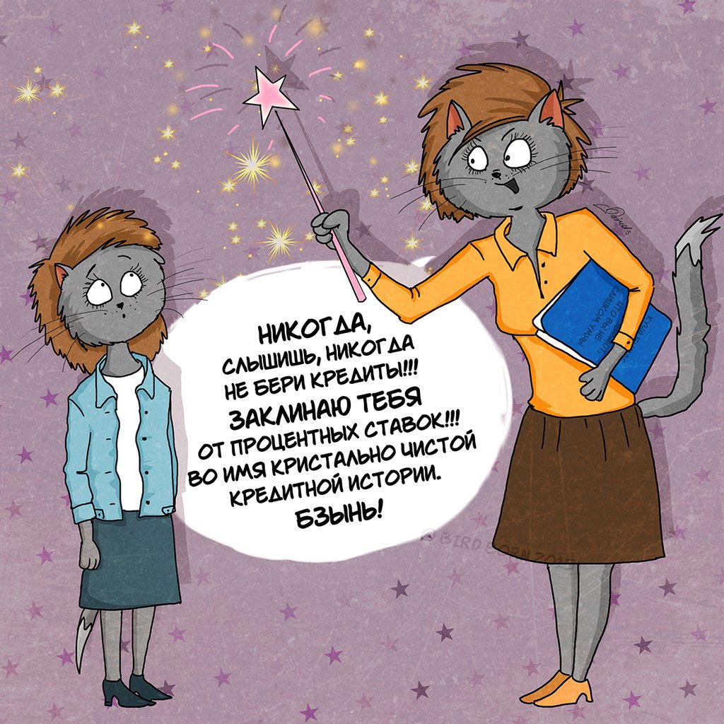 А что бы вы сказали себе 15-летнему, будучи взрослым? Bird Born, коты Bird Born, что бы вы сказали себе 15-летнему