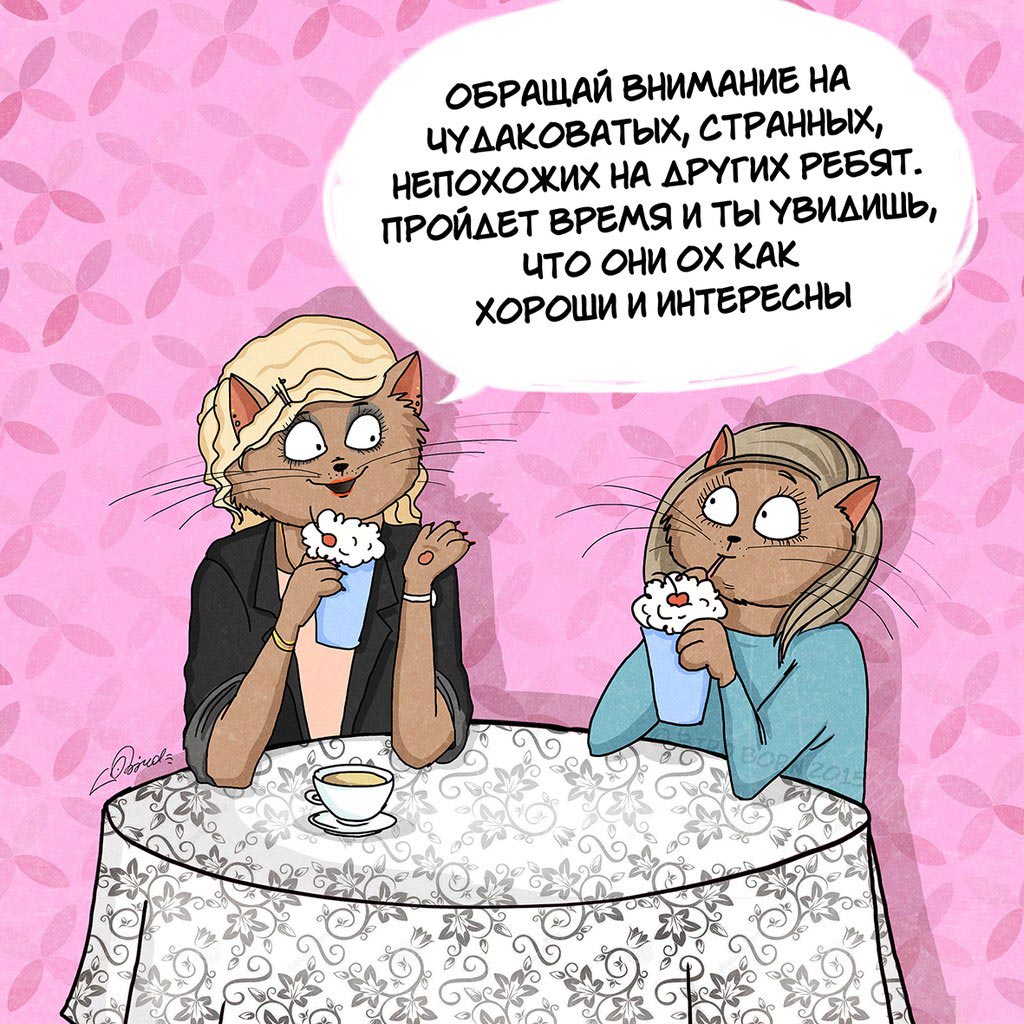 А что бы вы сказали себе 15-летнему, будучи взрослым? Bird Born, коты Bird Born, что бы вы сказали себе 15-летнему