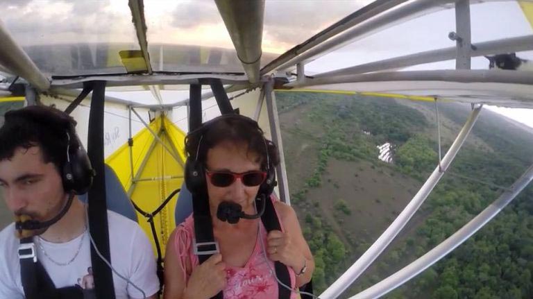 кот на самолете, кошка на самолете, кот совершил полет, кот в крыле самолета