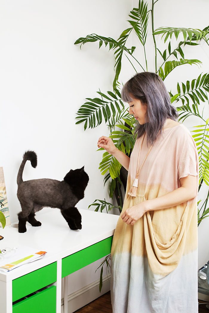 Брайан Виллс, Brianne Wills, девушки со своими котами, девушки с кошками которых они приютили