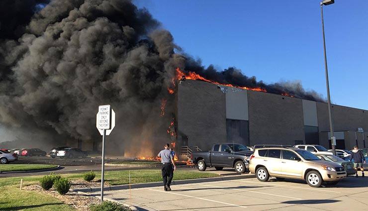 познавательные факты, спорим вы не знали
