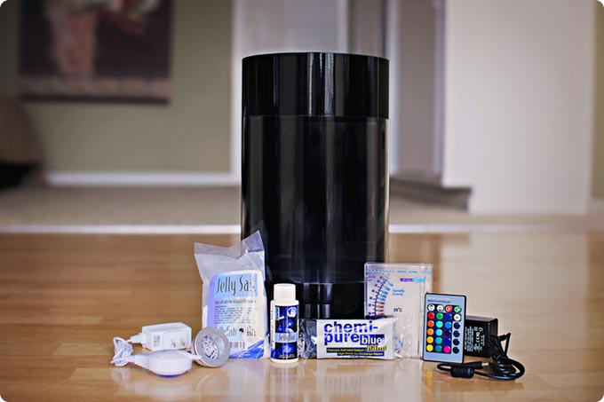 медузы в аквариуме, медузы домашние животные, Jellyfish Art, аквариум для медуз