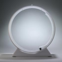 медузы в аквариуме, медузы домашние животные, Jellyfish Art, аквариум для медуз