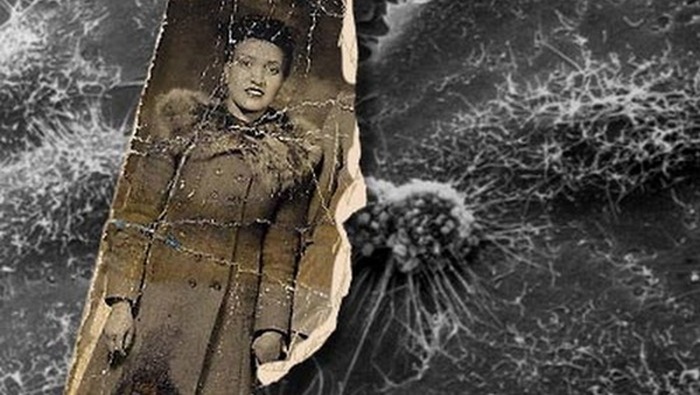 познавательные факты, спорим вы не знали