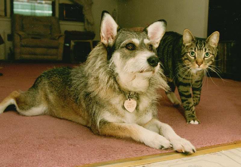 познавательные факты, спорим вы не знали