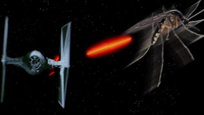 познавательные факты, спорим вы не знали