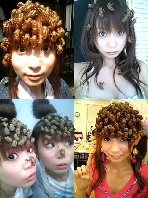 гифки япония, безумные японцы, сумасшедшие японцы