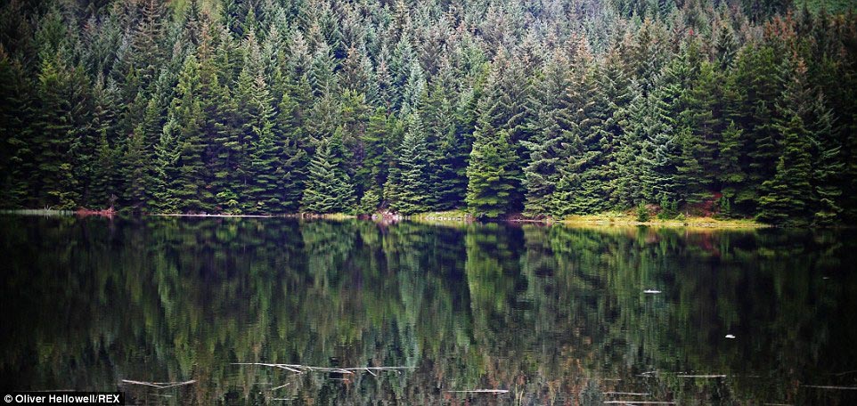 фотограф с синдромом Дауна, Оливер Хеллоуэл, Oliver Hellowell
