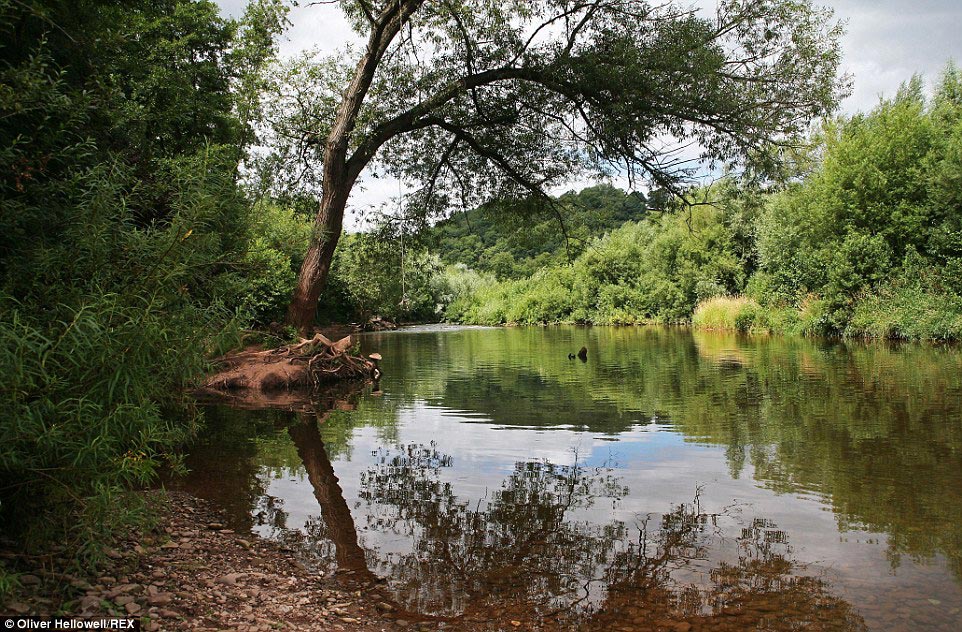 фотограф с синдромом Дауна, Оливер Хеллоуэл, Oliver Hellowell