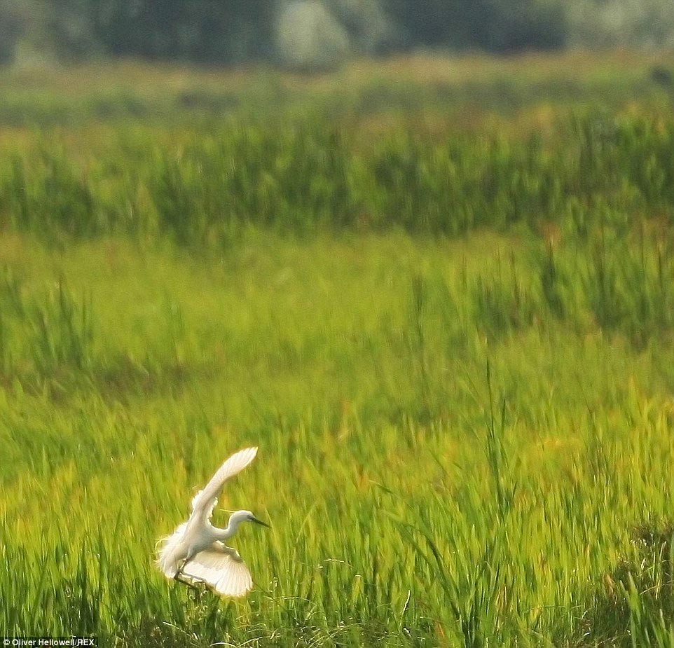 фотограф с синдромом Дауна, Оливер Хеллоуэл, Oliver Hellowell