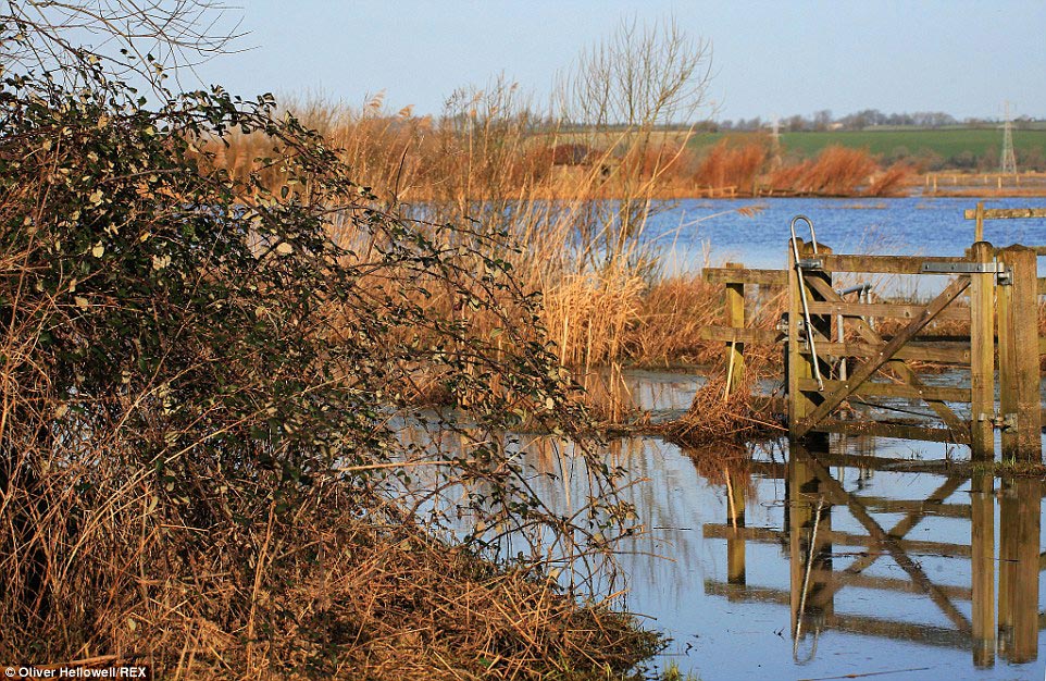 фотограф с синдромом Дауна, Оливер Хеллоуэл, Oliver Hellowell