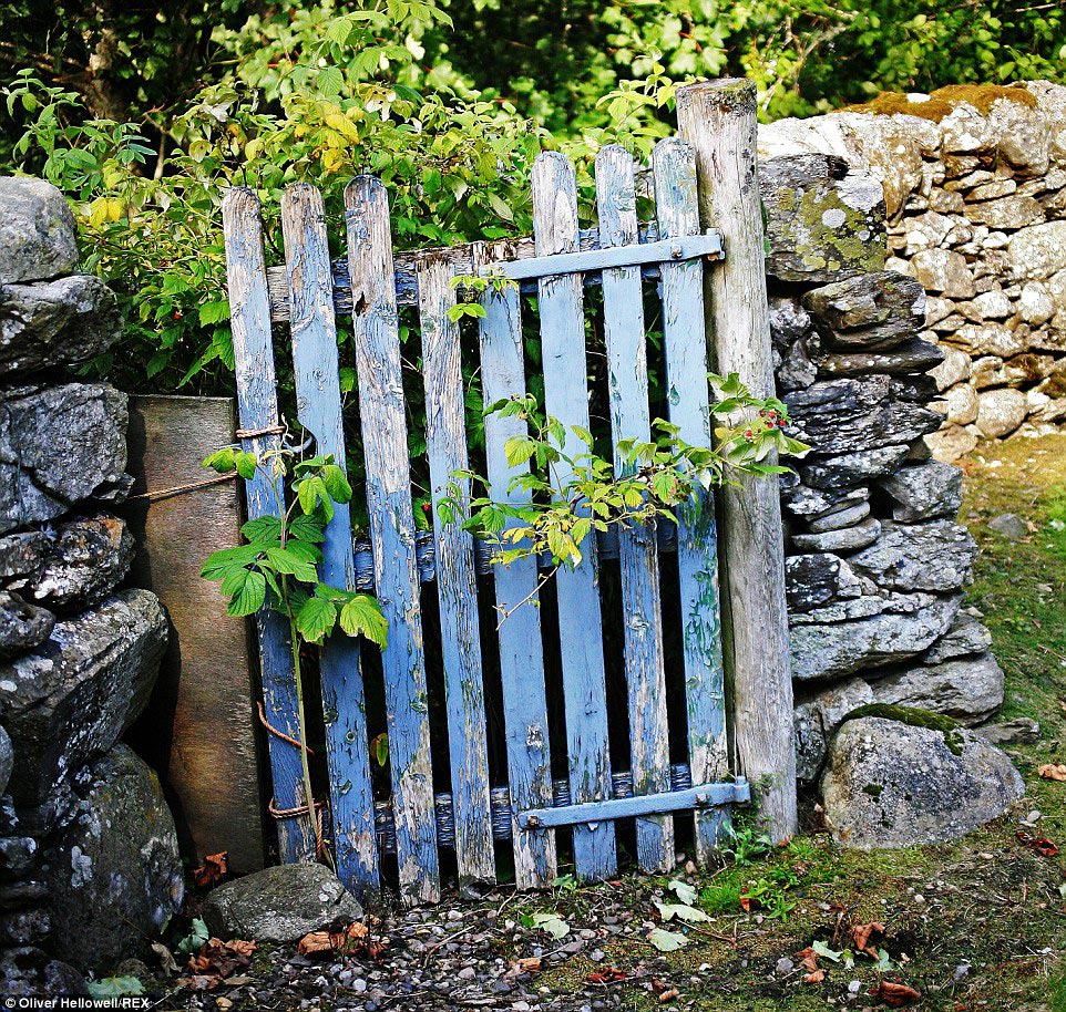 фотограф с синдромом Дауна, Оливер Хеллоуэл, Oliver Hellowell