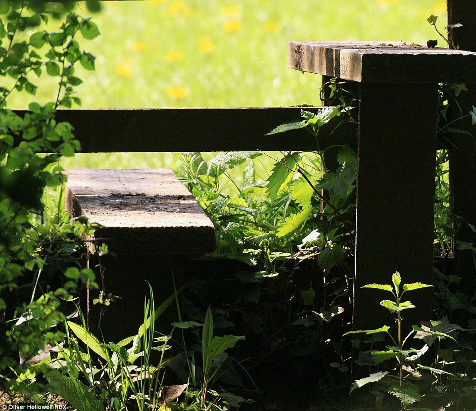 фотограф с синдромом Дауна, Оливер Хеллоуэл, Oliver Hellowell