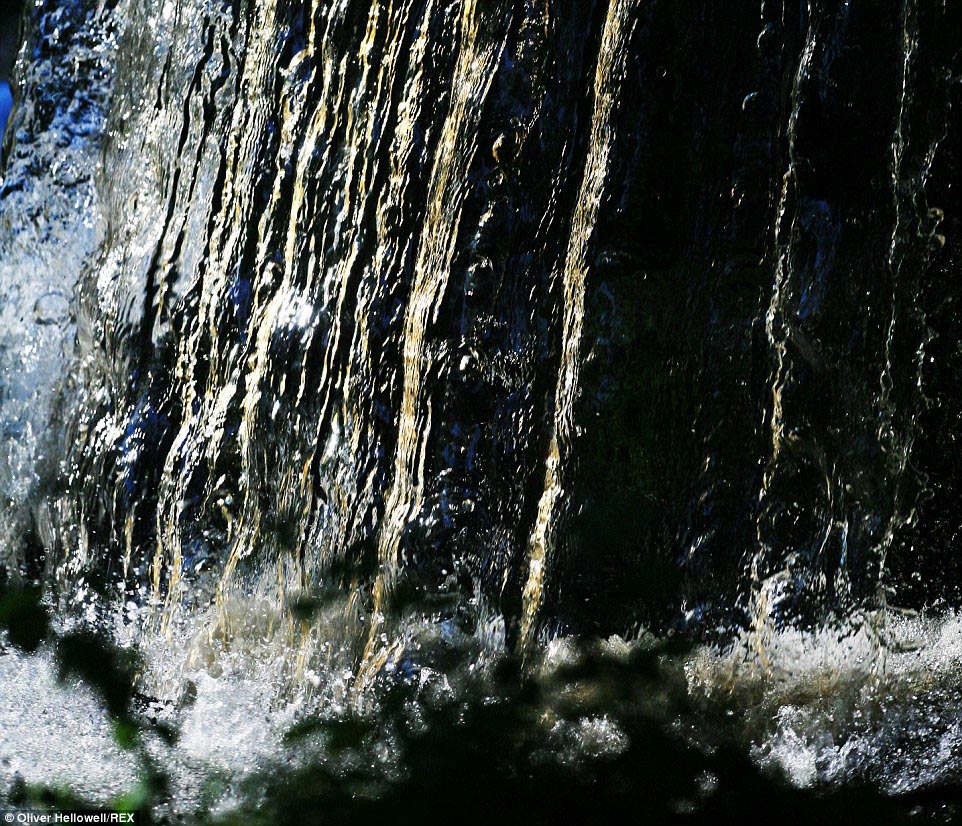 фотограф с синдромом Дауна, Оливер Хеллоуэл, Oliver Hellowell