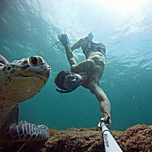 топ селфи, самые популярные селфи, самые селфи