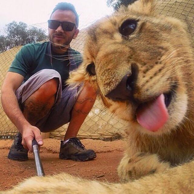 топ селфи, самые популярные селфи, самые селфи