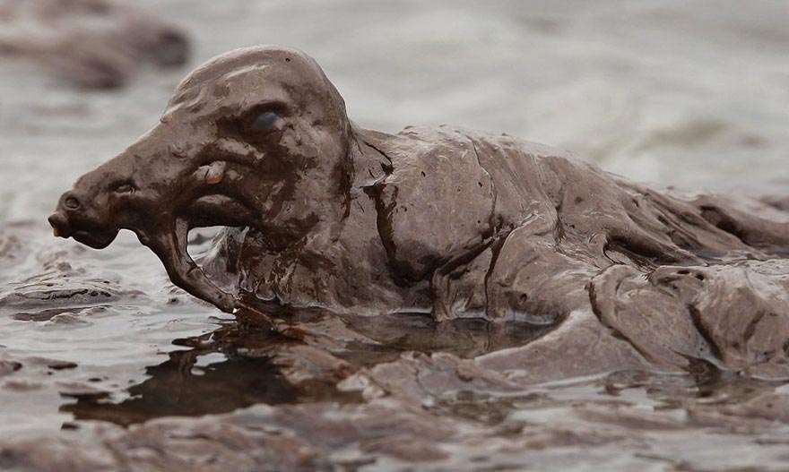 Последствия загрязнения воды фото