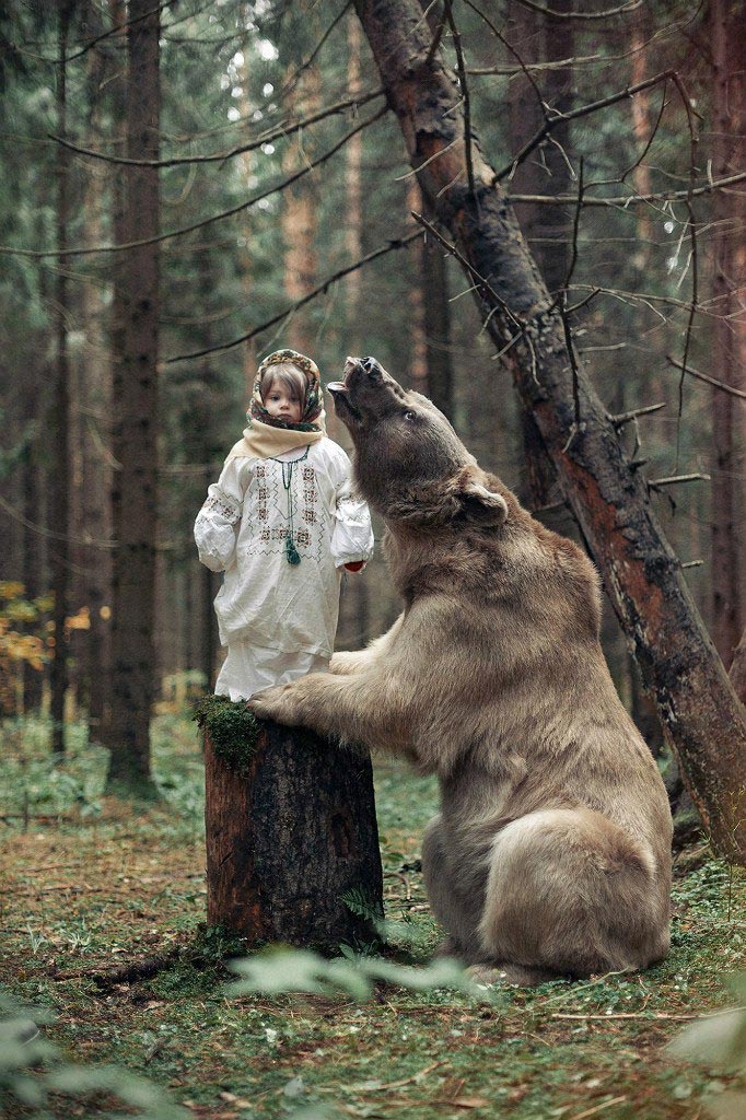 Фотосессия с медведем в лесу