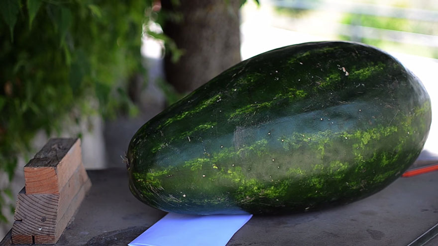Арбузных дел мастер: скульптор превратил обыкновенный арбуз в жуткого дракона Валериано Фатика, Valeriano Fatica, дракон из арбуза