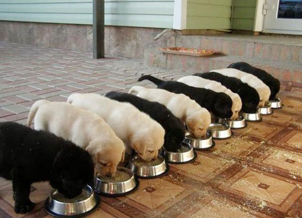 Ад для перфекицониста, неидеальные вещи