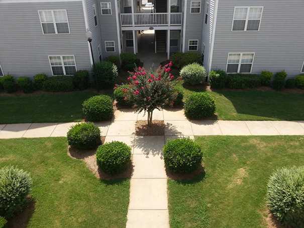 Ад для перфекицониста, неидеальные вещи