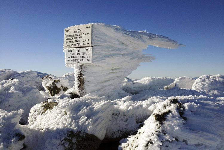 мощные фотографии, самые мощные фотографии недели, обо всём на свете