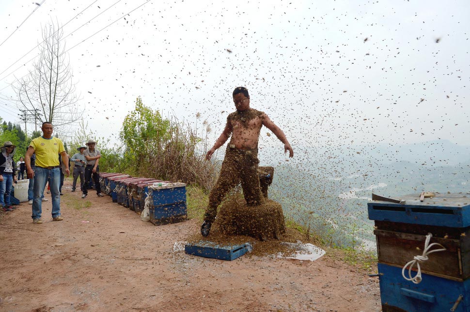 самые странные соревнования, безумные конкурсы, сумасшедшие состязания