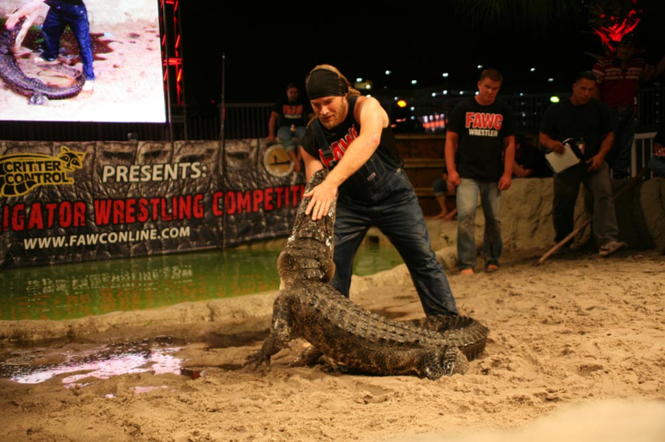 самые странные соревнования, безумные конкурсы, сумасшедшие состязания