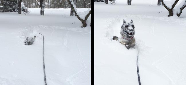 гениальное использование снега, снег это весело, приколы со снегом