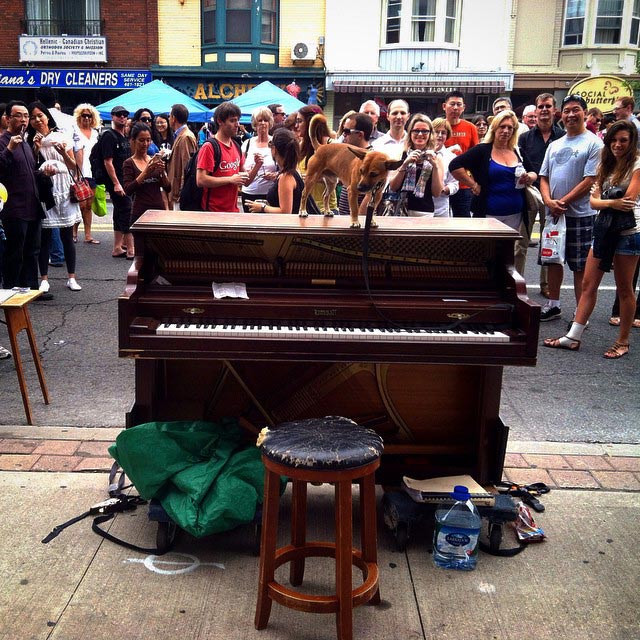 путешествие с пианино, парень отправился в путешествие с пианино, Дотан Негрин, Dotan Negrin