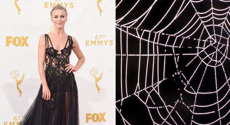 знаменитости похожи на вещи, неудачные наряды знаменитостей Эмми 2015, наряды знаменитостей Эмми 2015