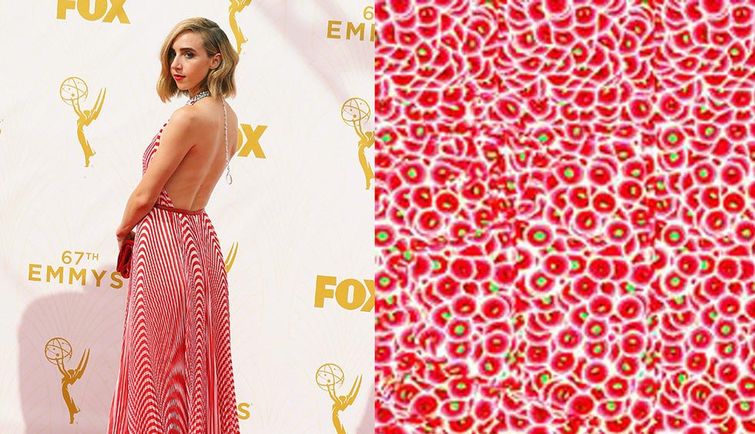 знаменитости похожи на вещи, неудачные наряды знаменитостей Эмми 2015, наряды знаменитостей Эмми 2015