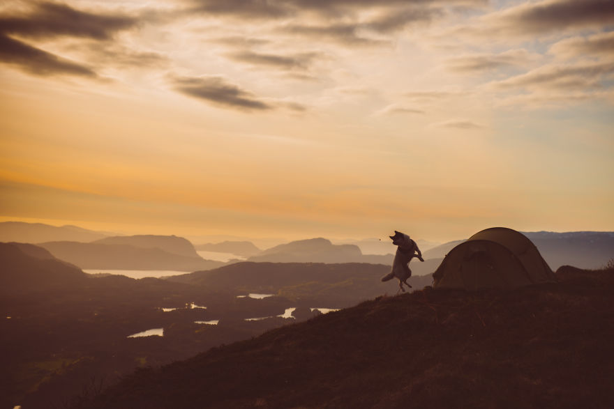 Парень бросил работу и отправился в путешествие с собакой