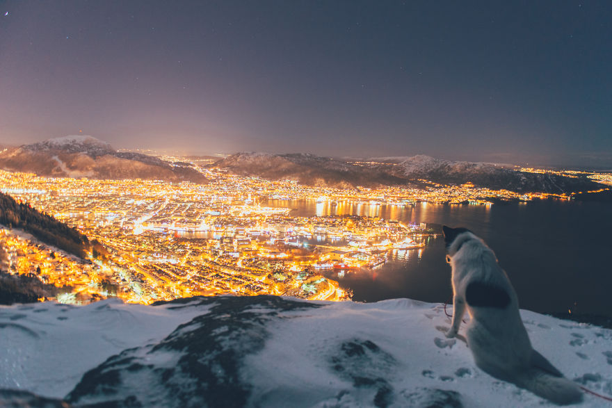 Парень бросил работу и отправился в путешествие с собакой