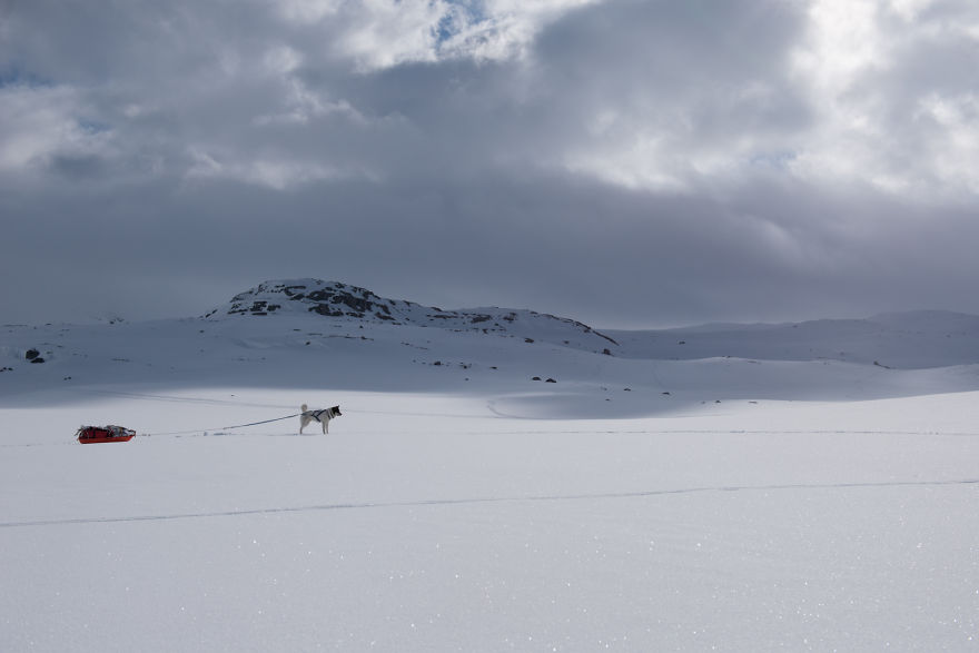 Парень бросил работу и отправился в путешествие с собакой