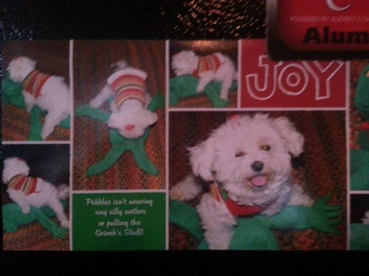 смешные рождественские фотографии, нелепые рождественские фотографии, неловкие рождественские портреты