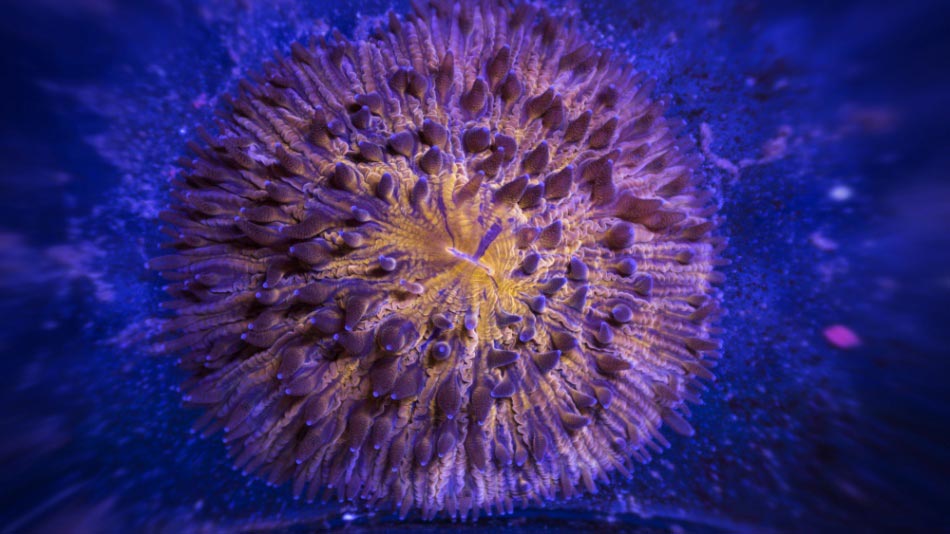 без использования фотошопа за февраль 2015, снимки сделанные без фотошопа 