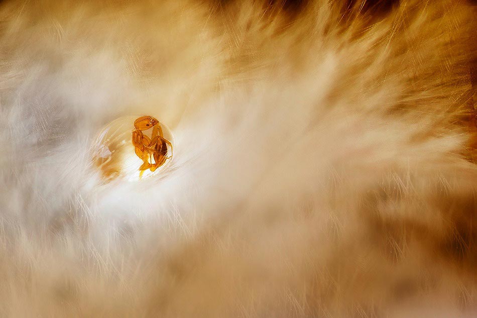 без использования фотошопа за февраль 2015, снимки сделанные без фотошопа 