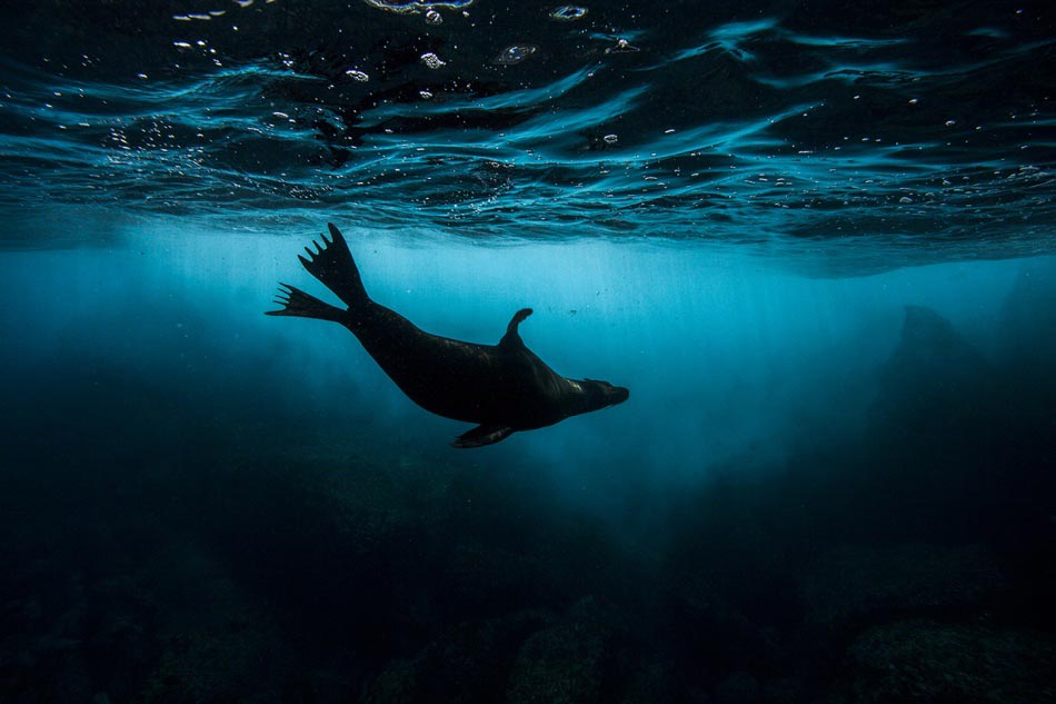 без использования фотошопа за февраль 2015, снимки сделанные без фотошопа 