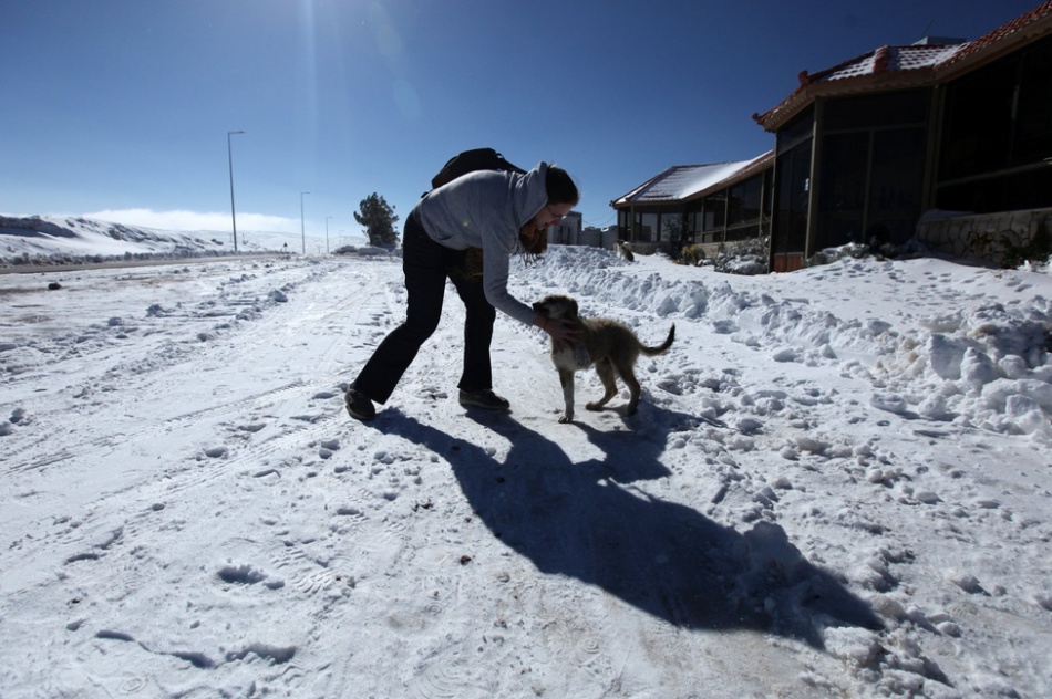 без использования фотошопа за февраль 2015, снимки сделанные без фотошопа 