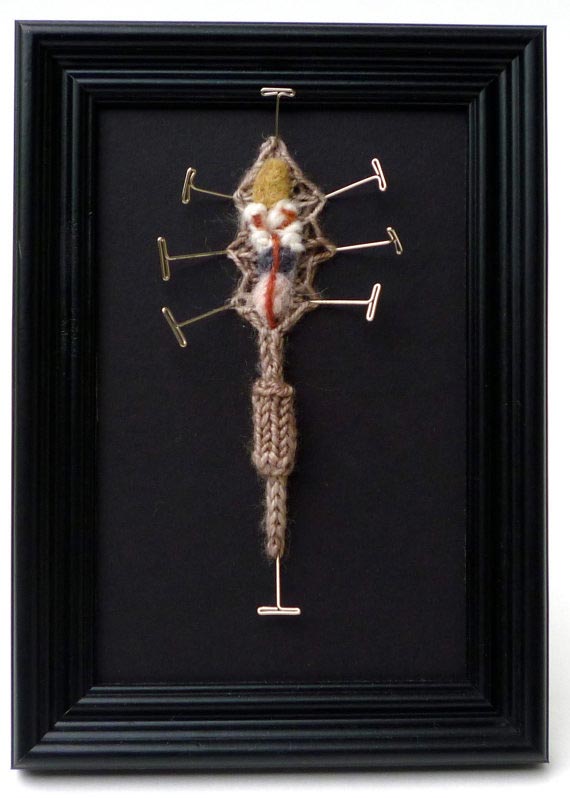 Вязаная анатомия,препарированные вязаные животные, Эмили Стоункинг, Emily Stoneking