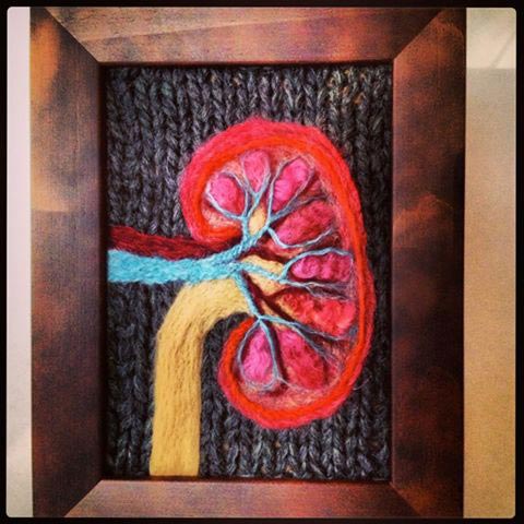 Вязаная анатомия,препарированные вязаные животные, Эмили Стоункинг, Emily Stoneking