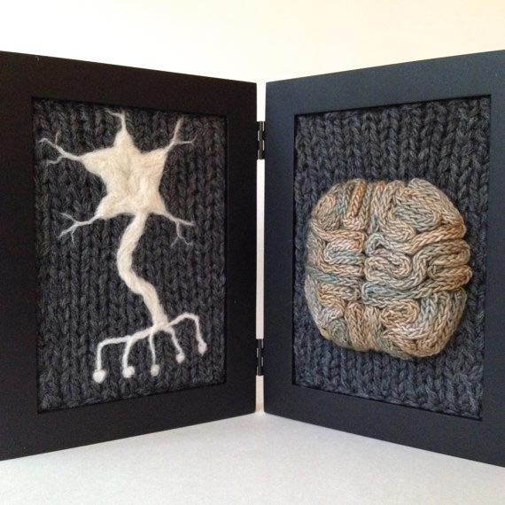 Вязаная анатомия,препарированные вязаные животные, Эмили Стоункинг, Emily Stoneking