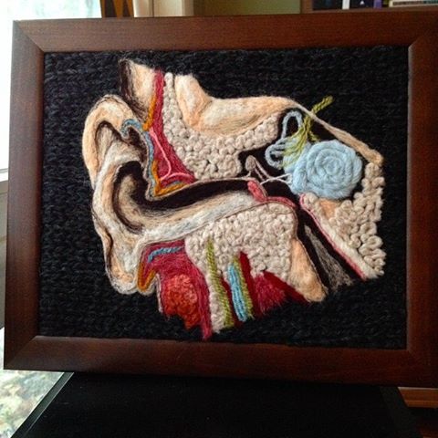 Вязаная анатомия,препарированные вязаные животные, Эмили Стоункинг, Emily Stoneking