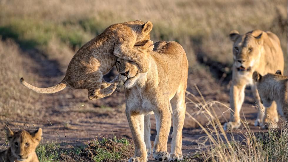 National Geographic Traveler Contest 2015, National Geographic 