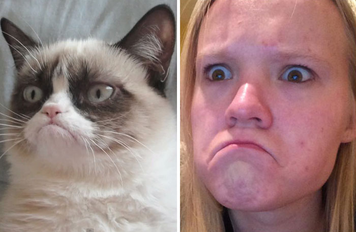 Из мема в реальность: девушка умело пародирует смешные лица знаменитостей, ставших мемами Девушка умело парадирует лица знаменитостей, CellCow